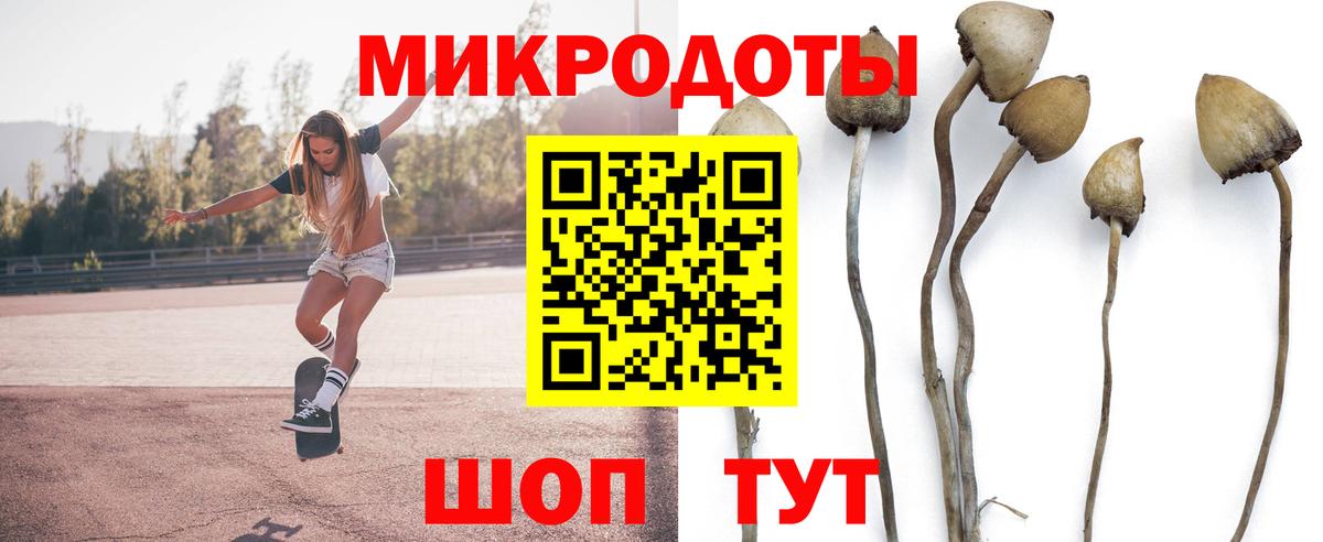 Галлюциногенные грибы Psilocybe  Вход с VPN  Галлюциногенные грибы прущие грибы  Новочебоксарск 